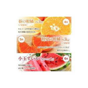 ふるさと納税 果物の詰合せ 和歌山県 由良町 ...の詳細画像4