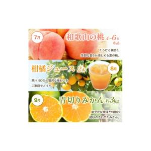 ふるさと納税 果物の詰合せ 和歌山県 由良町 ...の詳細画像5