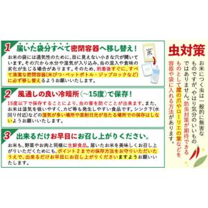 ふるさと納税 無洗米 熊本県 氷川町 ひごみの...の詳細画像5