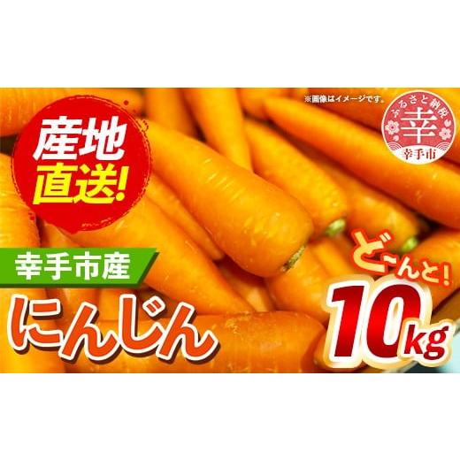 ふるさと納税 野菜類 人参 埼玉県 幸手市  きあり農園 2026年度 幸手市産 人参 10kg -...