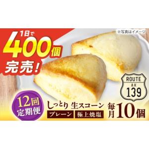 ふるさと納税 焼菓子・チョコレート 長崎県 佐々町 全12回定期便 卵不使用 生スコーン プレーン・極上焼塩 2種10個セット QBZ008