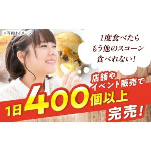 ふるさと納税 焼菓子・チョコレート 長崎県 佐...の詳細画像2