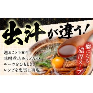 ふるさと納税 うどん 生・半生めん 愛知県 愛...の詳細画像3