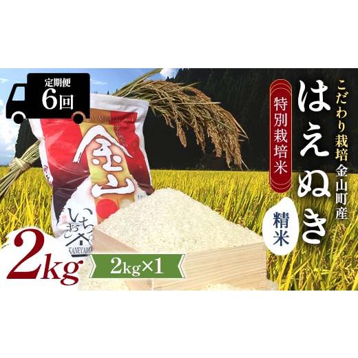 ふるさと納税 米 はえぬき 山形県 金山町  令和7年産 定期6回 金山町産 特別栽培米 はえぬき ...