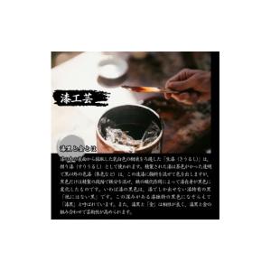 ふるさと納税 照明関連 長野県 富士見町 Bl...の詳細画像3