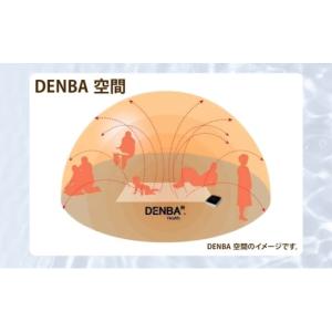 ふるさと納税 タオル・寝具 埼玉県 蓮田市 D...の詳細画像4