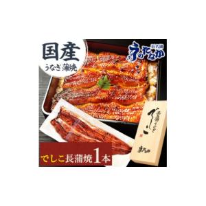 ふるさと納税 うなぎ 静岡県 磐田市 浜名湖養...の詳細画像1