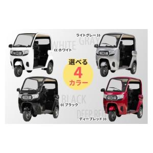 ふるさと納税 自転車 神奈川県 伊勢原市 電動...の詳細画像2