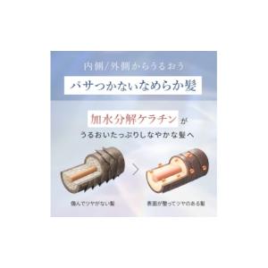 ふるさと納税 美容 埼玉県 入間市 12本セッ...の詳細画像4