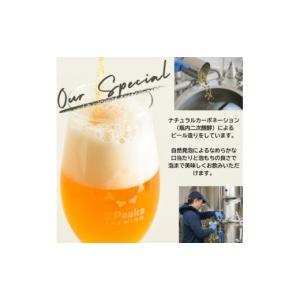 ふるさと納税 ビール 長野県 茅野市 毎月定期...の詳細画像3