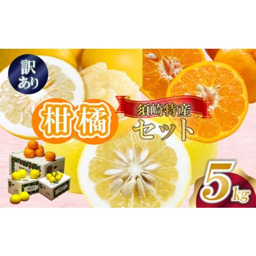 ふるさと納税 みかん・柑橘類 高知県 須崎市  定期便3回 限定 100セット 訳あり 各5kg 家...