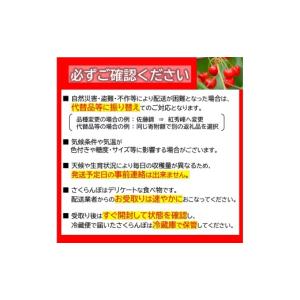 ふるさと納税 果物の詰合せ 山形県 南陽市 《...の詳細画像3