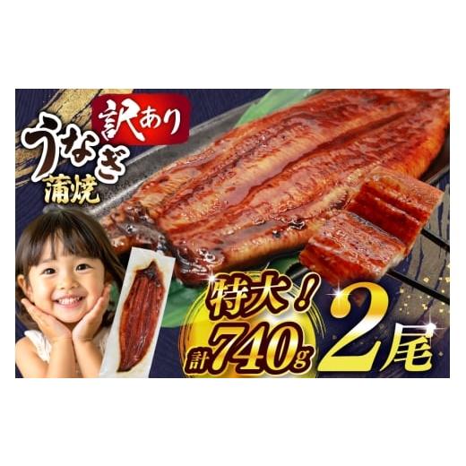 ふるさと納税 うなぎ 福岡県 宇美町 うなぎ 訳あり 鰻 蒲焼 特大 2尾 計約740g 不揃い 規...