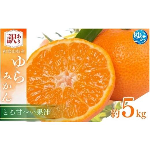 ふるさと納税 果物類 みかん 和歌山県 由良町 訳あり ゆら みかん 5kg ／ 温州みかん 和歌山...