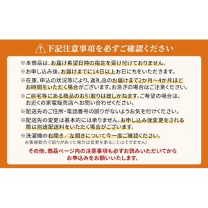 ふるさと納税 電化製品 静岡県 袋井市 パナソ...の詳細画像4
