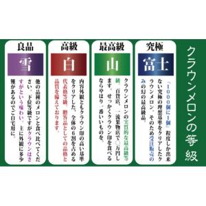 ふるさと納税 メロン メロン青肉 静岡県 袋井...の詳細画像5