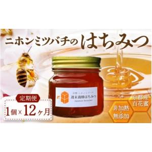 ふるさと納税 加工品等 はちみつ 京都府 綾部市 定期便 ニホンミツバチのはちみつ 300g×12回 | 京都産 非加熱 国産 百花蜜 自然のままの純粋蜂蜜 はちみつ …