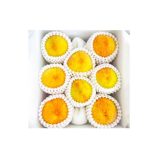 ふるさと納税 もも 岡山県 美咲町 岡山県美咲町産 桃 黄金桃 約2kg 2026年9月発送予定 ／...