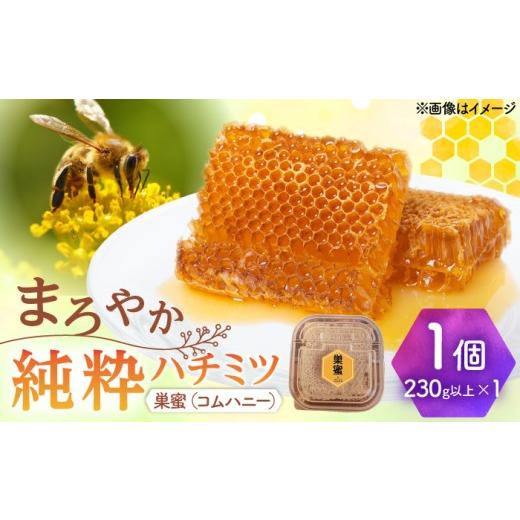 ふるさと納税 加工品等 はちみつ 岐阜県 瑞浪市 純粋ハチミツ 巣蜜（コムハニー） 瑞浪市 ／ ho...