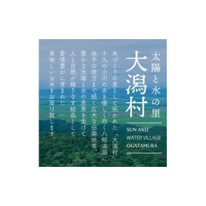 ふるさと納税 無洗米 秋田県 大潟村 毎月定期...の詳細画像3