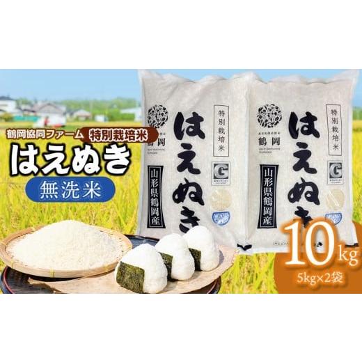 ふるさと納税 無洗米 山形県 鶴岡市  令和7年産 新米 特別栽培米はえぬき 無洗米　10kg (5...
