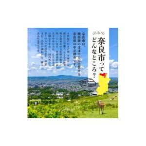 ふるさと納税 陶磁器・漆器・ガラス 奈良県 奈...の詳細画像5
