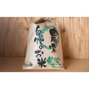 ふるさと納税 米 ゆめぴりか 北海道 鷹栖町 ...の詳細画像5