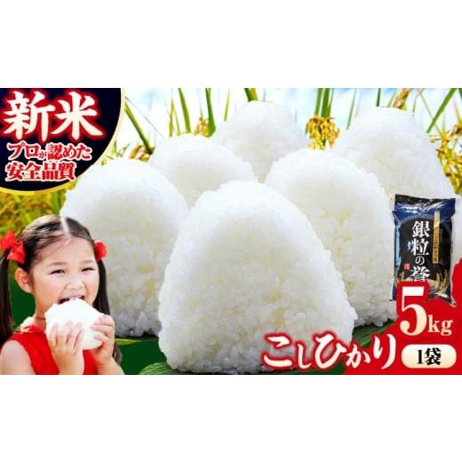 ふるさと納税 米 コシヒカリ 広島県 三次市  令和7年度米 スピード発送 こしひかり 5kg×1袋...