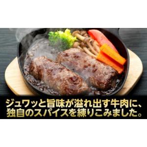 ふるさと納税 肉 ハンバーグ 静岡県 御前崎市...の詳細画像3