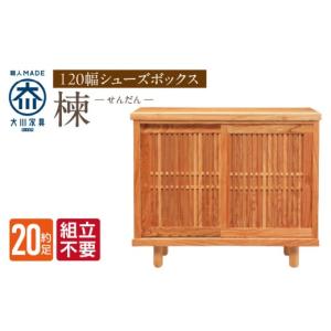 ふるさと納税 家具 インテリア・寝具・収納 福岡県 久留米市 組立不要 大川家具 シューズボックス［楝 センダン］幅120cm _ 大川家具 シューズボックス セン…