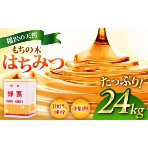 ふるさと納税 加工品等 はちみつ 愛知県 稲沢市 もちの木はちみつ（一斗缶24kg） ／ はちみつ 国産 非加熱 純粋 蜂蜜 天然 ハチミツ ／ 稲沢市 ／ 椿園株式会…
