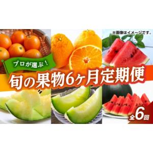 ふるさと納税 果物の詰合せ 熊本県 山鹿市 先...の詳細画像1