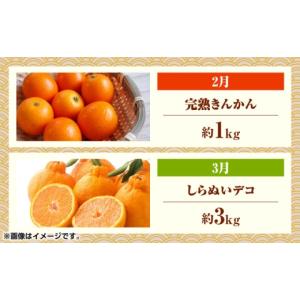 ふるさと納税 果物の詰合せ 熊本県 山鹿市 先...の詳細画像2