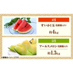 ふるさと納税 果物の詰合せ 熊本県 山鹿市 先...の詳細画像3
