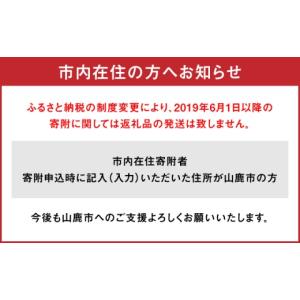 ふるさと納税 果物の詰合せ 熊本県 山鹿市 先...の詳細画像5