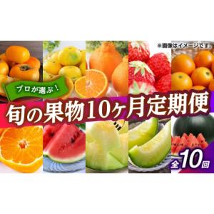 ふるさと納税 果物の詰合せ 熊本県 山鹿市 先行予約 フルーツ10ヶ月定期便 10月〜7月 くまふる ZBG078