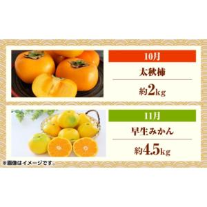 ふるさと納税 果物の詰合せ 熊本県 山鹿市 先...の詳細画像2