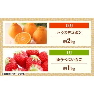 ふるさと納税 果物の詰合せ 熊本県 山鹿市 先...の詳細画像3