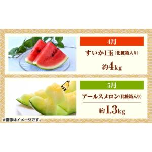 ふるさと納税 果物の詰合せ 熊本県 山鹿市 先...の詳細画像5