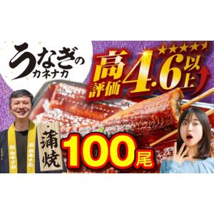 ふるさと納税 うなぎ 愛知県 豊橋市 国産うなぎ...の商品画像