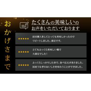 ふるさと納税 うなぎ 愛知県 豊橋市 国産うな...の詳細画像3