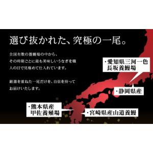 ふるさと納税 うなぎ 愛知県 豊橋市 国産うな...の詳細画像4