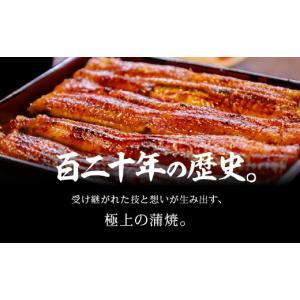 ふるさと納税 うなぎ 愛知県 豊橋市 国産うな...の詳細画像5