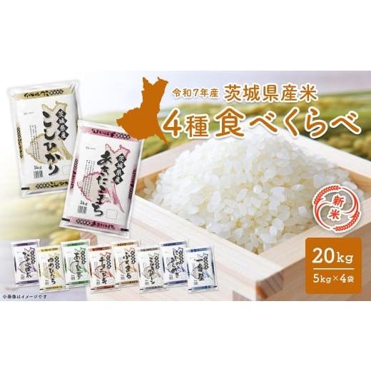 ふるさと納税 米 コシヒカリ 茨城県 境町  新米／白米 令和7年12月内発送 令和7年産 4種食べ...