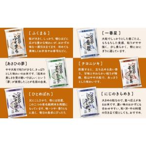 ふるさと納税 米 コシヒカリ 茨城県 境町 4...の詳細画像3
