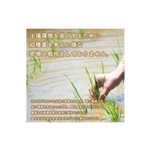 ふるさと納税 米 あきたこまち 秋田県 横手市...の詳細画像4