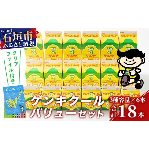 ふるさと納税 飲料類 乳飲料 沖縄県 石垣市  ふるさと納税限定 ゲンキクールバリューセット 八重山...