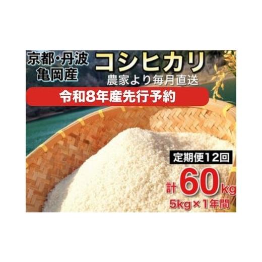 ふるさと納税 米 コシヒカリ 京都府 亀岡市  2026年10月発送 令和8年産 新米 先行予約 米...