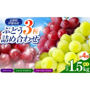 ふるさと納税 ぶどう 長野県 伊那市 ぶどう 信州伊那産ぶどう 3種食べ比べセット（1.5kg以上）シャインマスカット2房 クイーンルージュ(R)1房 マイハート1房 …