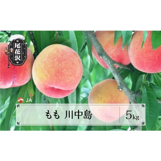 ふるさと納税 もも 山形県 尾花沢市 先行予約 もも 川中島 約5kg 秀 20玉以上 2026年産...